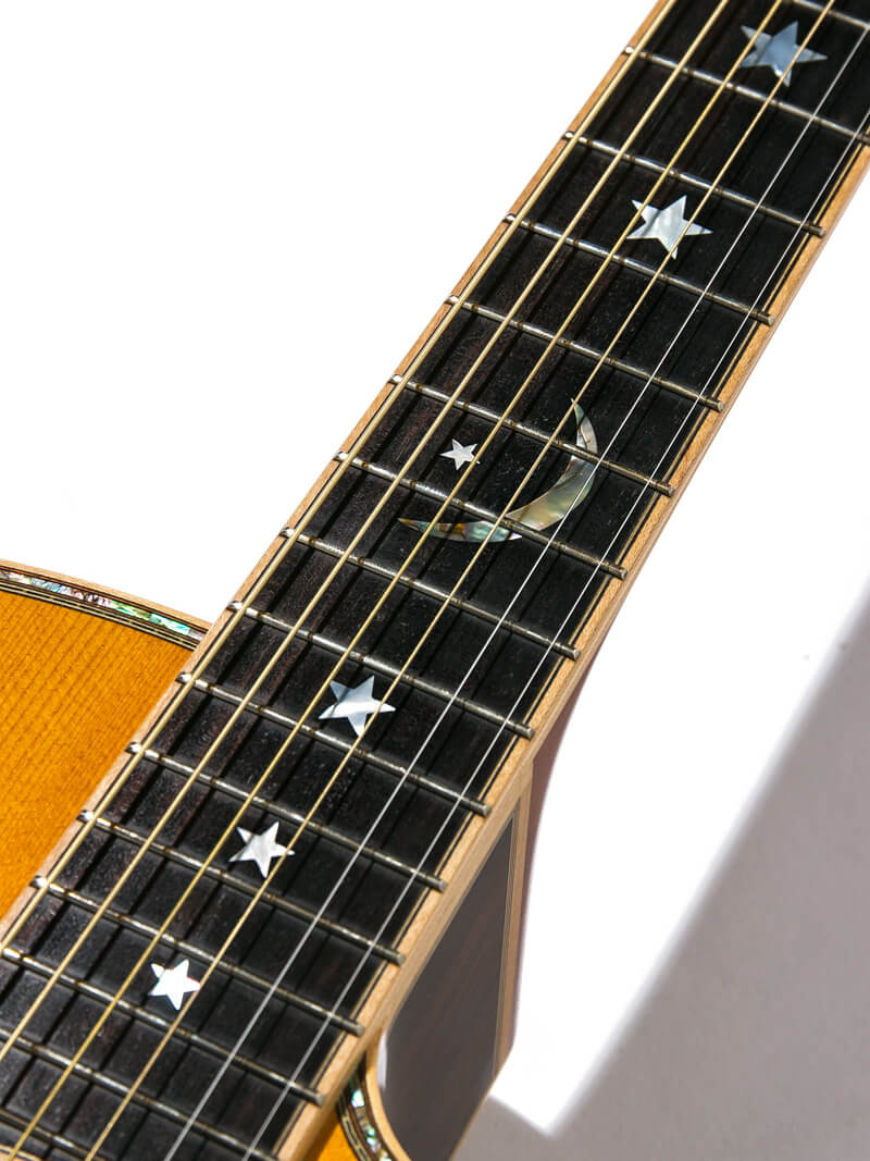 Terry’s Terry TJ-100 Star Blue Custom Inlay 12