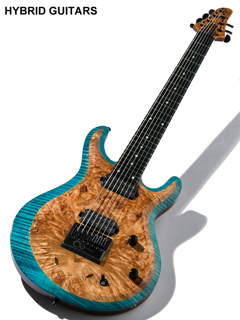 Custom Order GUitarオーダー内容 - ギター