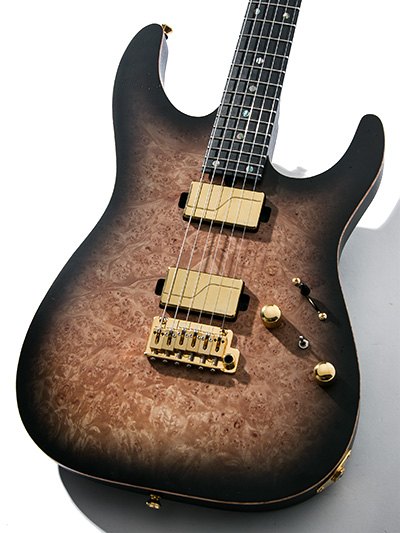 T's Guitarsの全在庫一覧｜ギター買取の東京新宿ハイブリッドギターズ