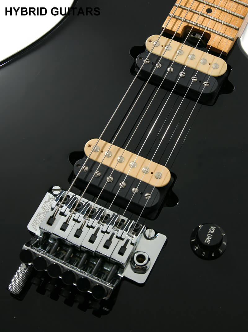 PEAVEY USA EVH Wolfgang Special Black 11