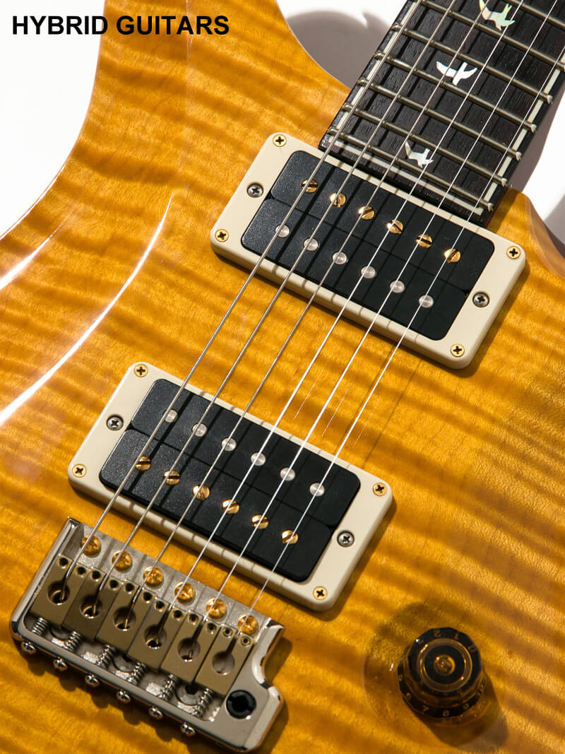 Paul Reed Smith(PRS) 30th Anniversary Custom 24 10Top & 1P-Mahogany Honey 10