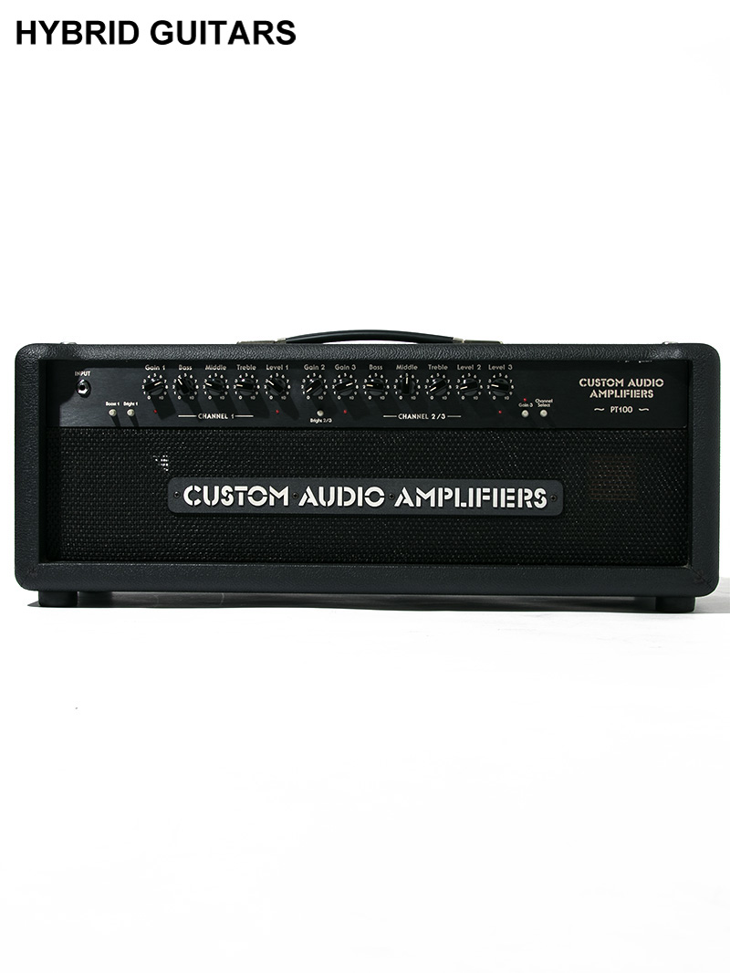 Custom Audio Amplifiers PT100 Head 1