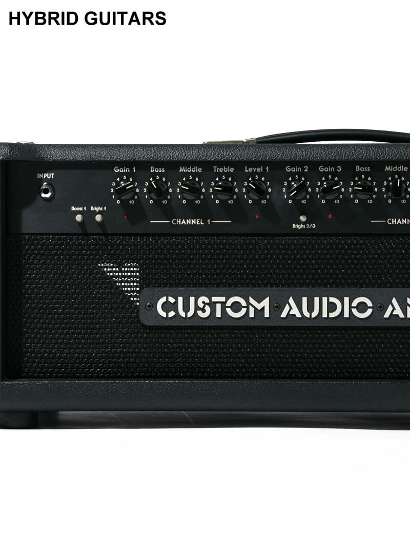 Custom Audio Amplifiers PT100 Head 2