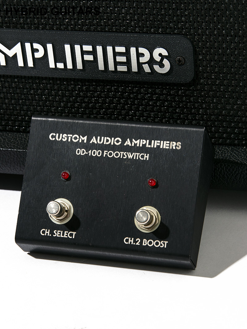 Custom Audio Amplifiers PT100 Head 9